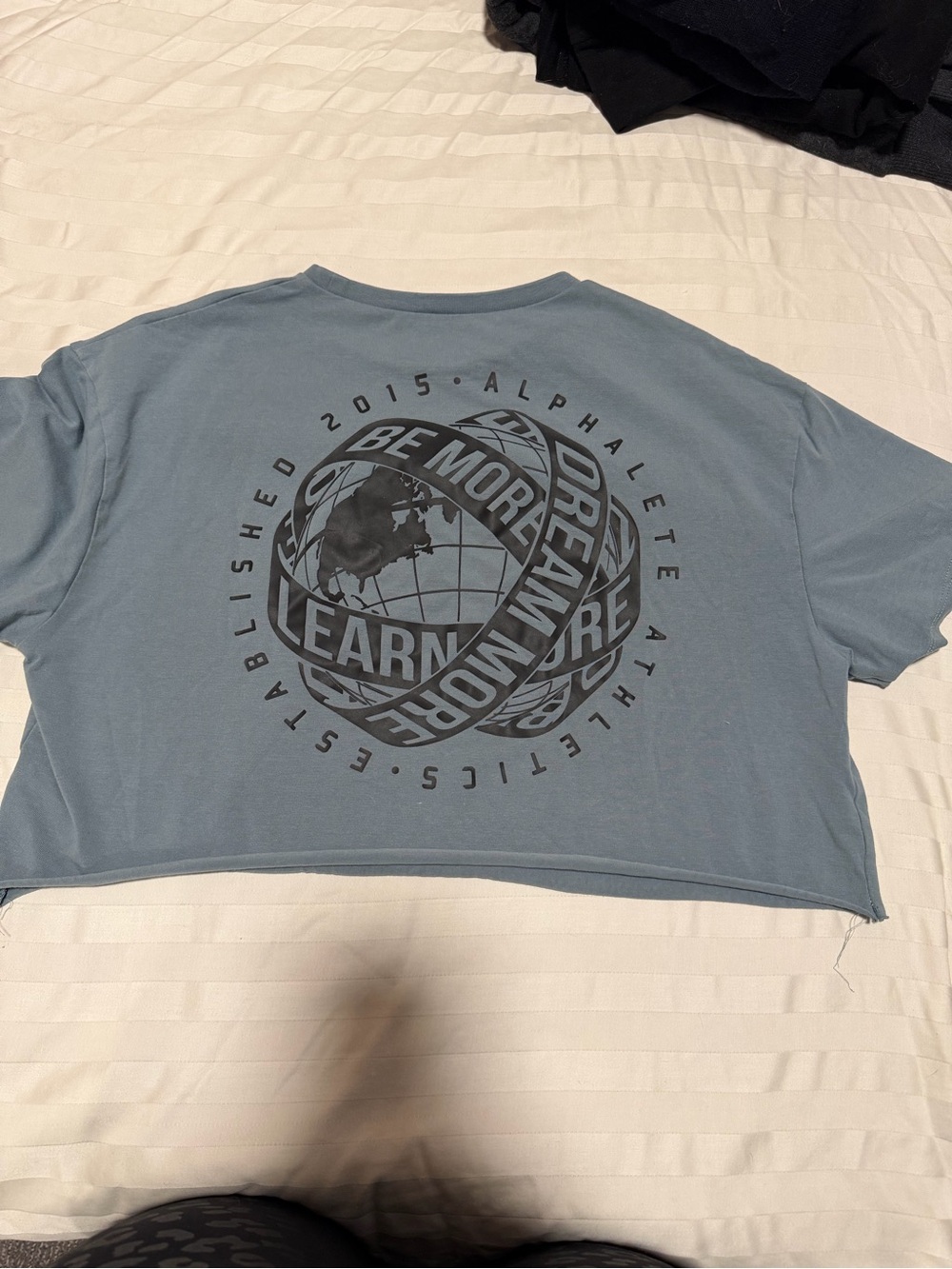 Alphalete Chapter III Oversized Crop Top - Trooper - Small